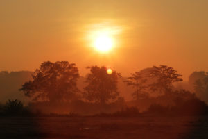 Anuradhapura Sunrise 